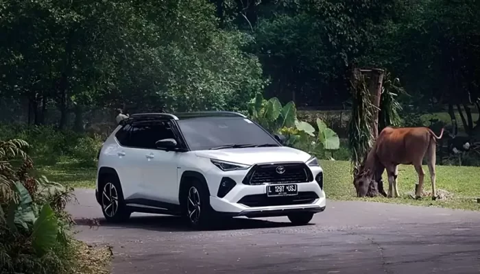 Cerita Bos Pabrik Toyota Siapkan 3 Mobil Baru Sekaligus Untuk Indonesia