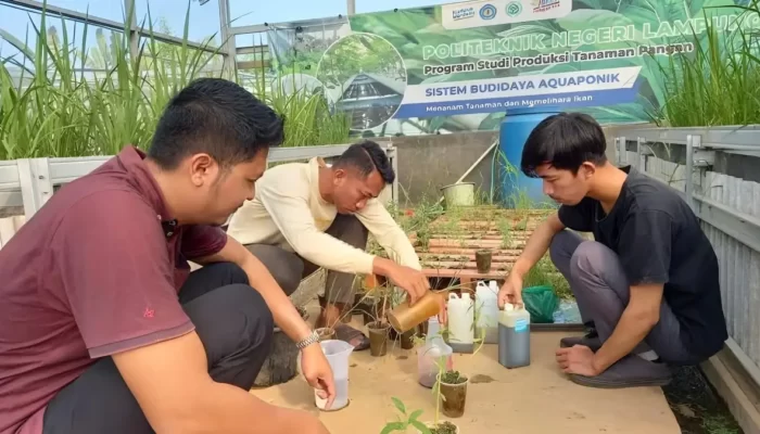 Kajian Efektivitas Herbisida Nabati oleh Dosen Prodi TPTP Polinela dalam Mendorong Pertanian Berkelanjutan