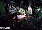 Tragedi Api di Kebun Cabai Labuhanratu: Petani Berpamitan pada Tanamannya, Namun Haru Terbakar di Tengah Usaha