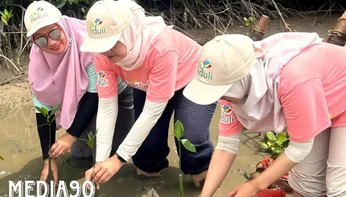 Inisiatif Hijau PLN: 10.000 Pohon Mangrove Ditanam di Cuku NyiNyi Lampung untuk Memperingati Hari Menanam Pohon Indonesia