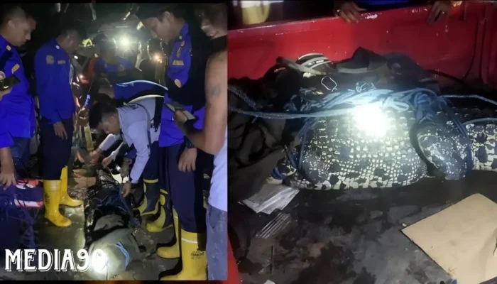 Kampung Koala Bandar Lampung Dilanda Kekhawatiran Warga Akibat Penangkapan Buaya Raksasa 3 Meter oleh Damkarmat