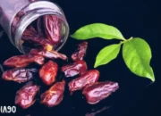 Peringatan MUI: Kurma ‘Israel Nyamar’ Diwaspadai untuk Menghindari Boikot, Palestina dan Arab Dalam Fokus