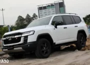 Peringatan! Toyota Land Cruiser 300 dan Lexus LX600 Terkena Recall di Indonesia