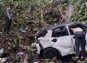 Kecelakaan Maut: Minibus Terjun ke Jurang Tebing Batu Manula Pesisir Barat, Satu Balita Tewas Akibat Sopir Ngantuk