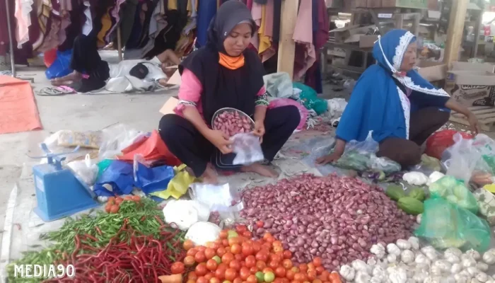 Mei 2024: BPS Laporkan Bawang Merah Sebagai Penyumbang Inflasi Terbesar di Lampung