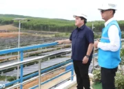 Tindakan Cepat Menyediakan Energi Listrik Bersih: Menteri BUMN Mengapresiasi PLN