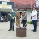 Kejari Mesuji Musnahkan Narkoba dan Senpira
