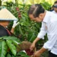 Presiden Joko Widodo Minta Hilirisasi, Petani Kopi Lampung Barat Curhat Ingin Dibangunkan Gudang dan Pabrik