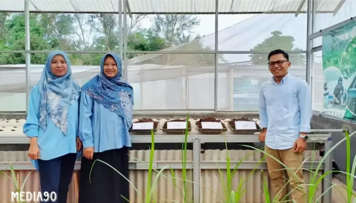 Inovasi Pupuk Organik dari Jerami Padi oleh Tim Polinela di Jati Agung