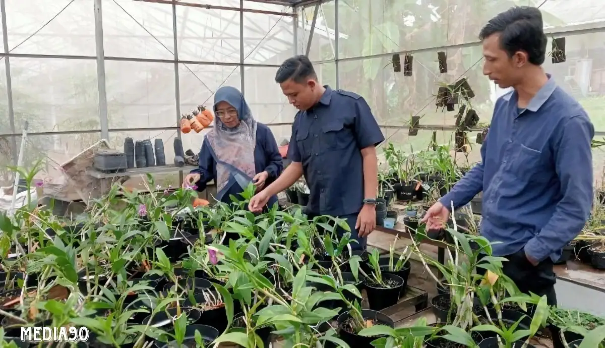 Dosen Polinela Ciptakan Machine Learning Guna Deteksi Penyakit pada Anggrek