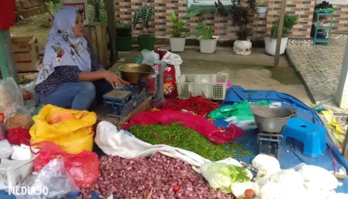 Ekonomi Lampung Deflasi 0,16% pada Juli 2024, Penurunan Harga Bawang Merah Tertinggi