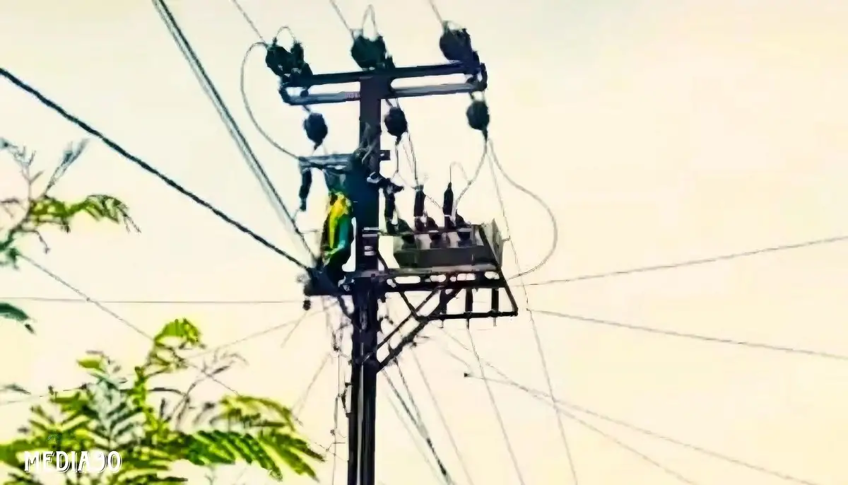 Meninggal Tersengat Listrik di Labuhan Maringgai Lampung Timur, PLN UID Lampung Sebut Korban Bukan Pekerja PLN