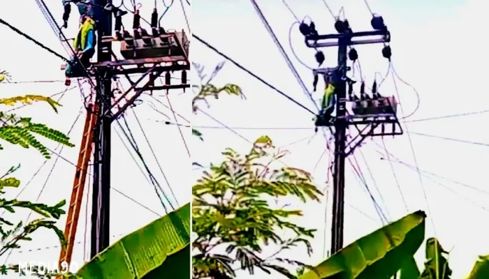 Pekerja PLN Asal Karang Anyar Jati Agung Tewas Tersengat Listrik di Lampung Timur