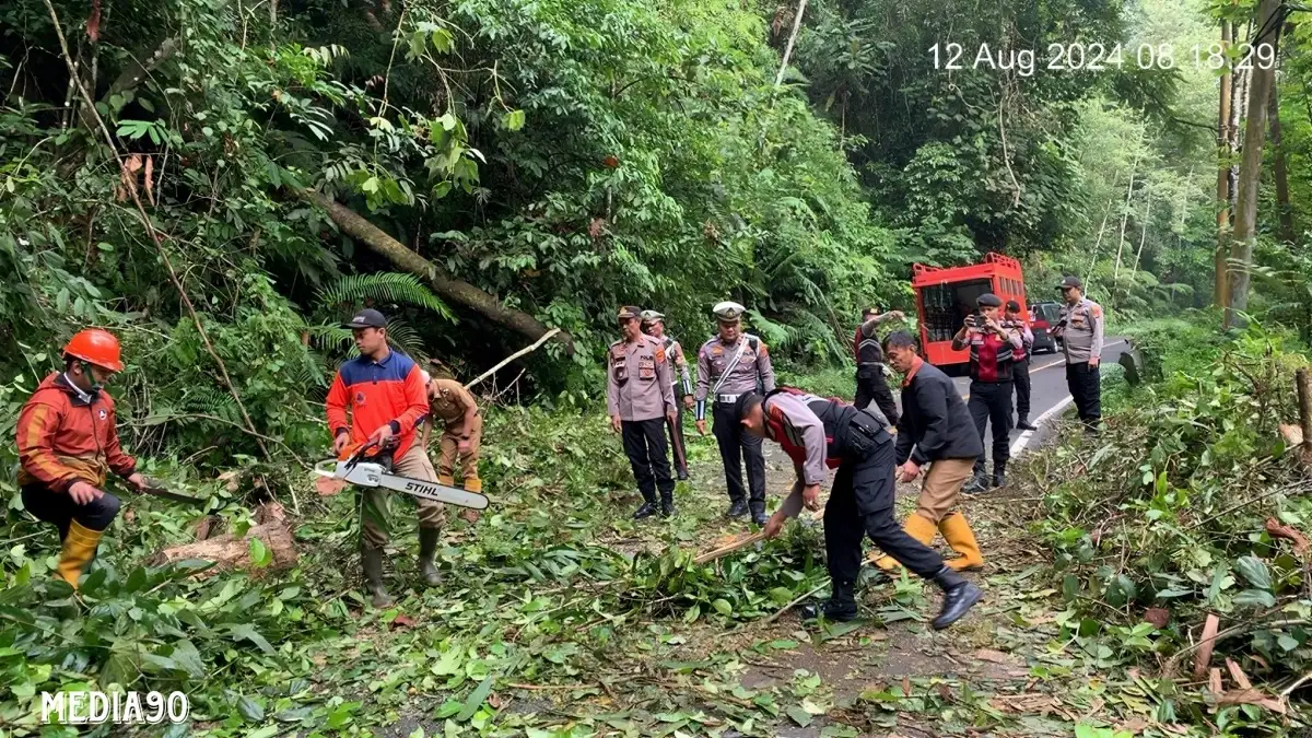Waspada Pohon Tumbang, Polisi Berlakukan Sistem Buka Tutup di Jalur Lintas Liwa – Krui