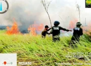Kebakaran Hutan di Taman Nasional Way Kambas Lampung Timur Berhasil Dipadamkan Setelah Tiga Hari