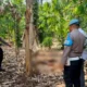 Jasad Pria Tanpa Busana Ditemukan di Kebun Warga Pagelaran Pringsewu, Diduga Dibakar