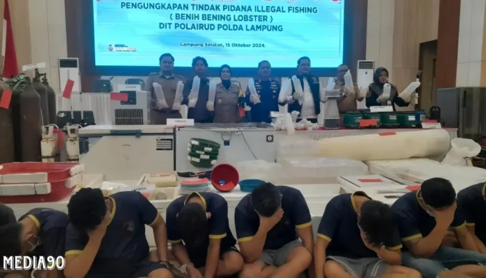 149 Ribu Benih Lobster Ilegal Diproduksi di Lampung Tengah, 14 Tersangka Ditetapkan oleh Polda Lampung