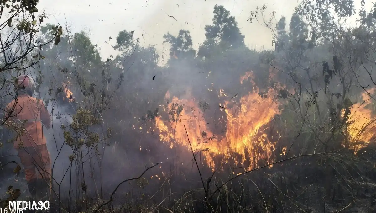 Waspada Kebakaran Hutan dan Lahan, BMKG Pantau Titik Panas Lima Kabupaten di Lampung