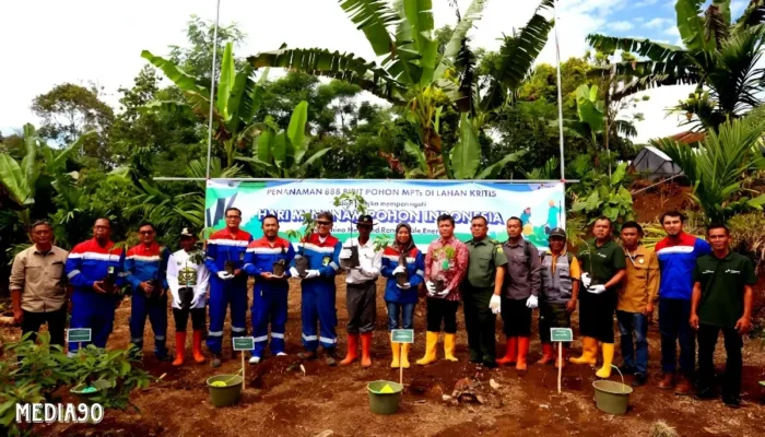 Pertamina NRE Tanam Pohon di Lahan Kritis Ngarip Ulubelu Tanggamus dalam Rangka Hari Menanam Pohon Indonesia