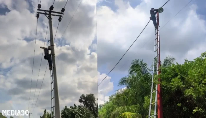 Dengan Dana Desa, Kampung Bumi Dipasena Agung Pasang 20 Lampu Penerangan Jalan
