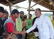 Jaringan Irigasi Air Tanah Kementerian PU Ubah Pertanian Gunungkidul, Panen Tiga Kali Setahun Terwujud