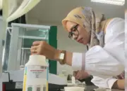 Polinela Kembangkan Melon Oriental Toleran Salinitas untuk Optimalkan Lahan Marginal