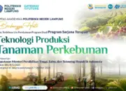 Polinela Perluas Arah Pendidikan Vokasi, Buka Program Studi Teknologi Produksi Tanaman Perkebunan