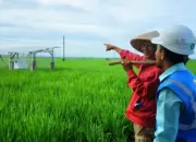 Listrik PLN Hadirkan Harapan Baru Petani Trimomukti: Dari Ketergantungan Hujan Menuju Pertanian Modern