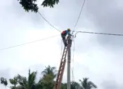 PLN UP3 Kotabumi Pulihkan Listrik Pasca Puting Beliung di Blambangan Pagar