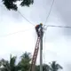 PLN Lampung Bergerak Cepat Pulihkan Jaringan Listrik Usai Puting Beliung di Blambangan Pagar