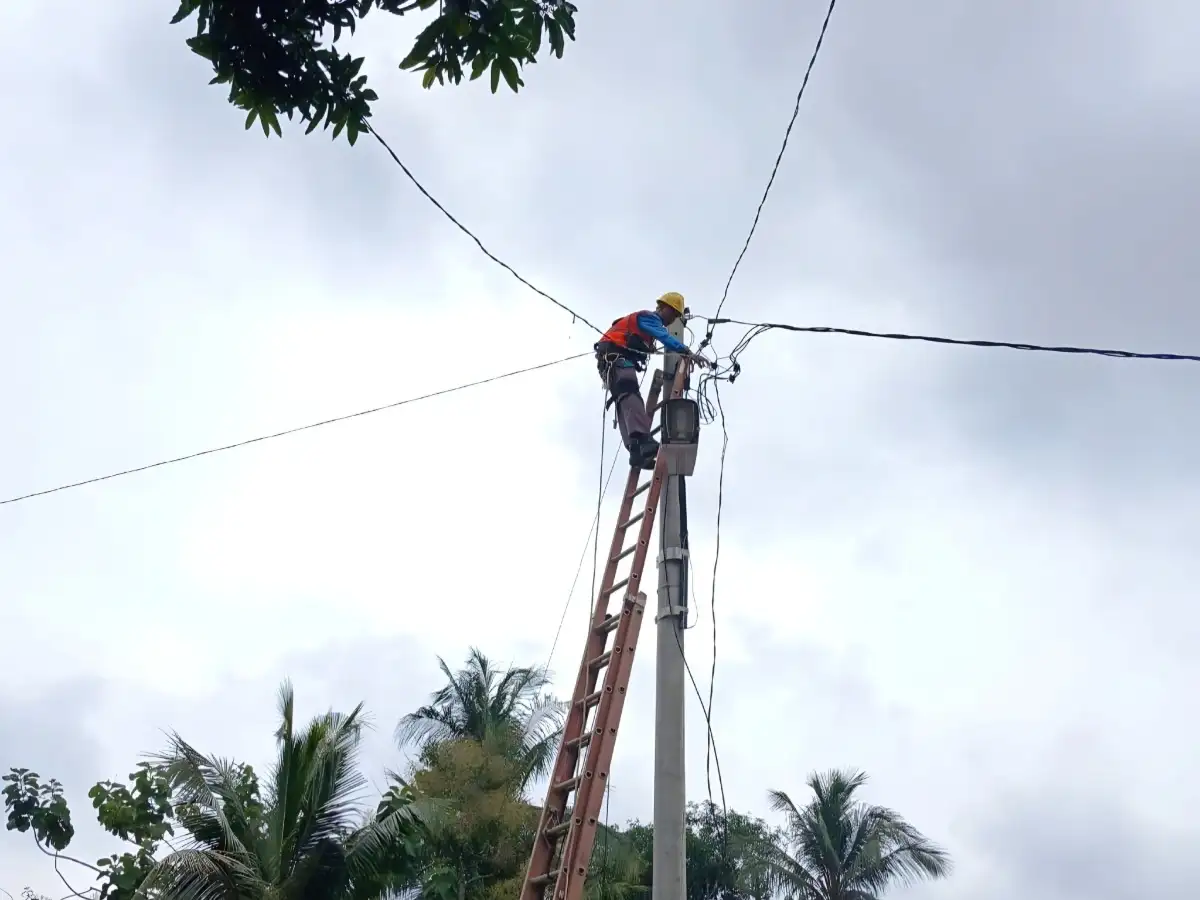 PLN Lampung Bergerak Cepat Pulihkan Jaringan Listrik Usai Puting Beliung di Blambangan Pagar