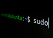 Distribusi Linux Terbaik untuk Pengembangan Perangkat Lunak