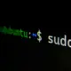 Pilihan Distro Linux Paling Cocok untuk Developer