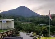 Gunung Merapi Kembali Aktif: 7 Guguran Lava dan 40 Gempa Tercatat Pagi Ini