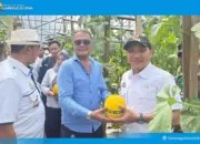 Panen Melon di Tanjung Bintang, Wabup Lampung Selatan Dorong Desa Terapkan Pertanian Cerdas dan Modern