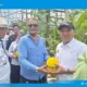 Wakil Bupati Lampung Selatan Dorong Desa Terapkan Pertanian Cerdas saat Panen Melon di Tanjung Bintang