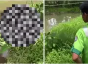 Warga Geger! Jenazah Ditemukan di Bawah Rel Kereta Kalasan, Diduga Tertabrak KA