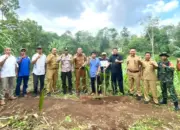 Tanam Perdana, Pesawaran Genjot Peremajaan Kakao Sebagai Komoditas Unggulan