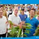 Menko Pangan Distribusikan 7.000 Bibit Kakao dan Kopi untuk Percepatan Smart Agroforestry di Lampung Selatan