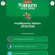 Mudikpedia Resmi Diluncurkan, Komdigi Sediakan Panduan Mudik Nataru