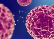 Terobosan MIT: Sintesis Verticillin A Berhasil, Harapan Baru Basmi Kanker Otak