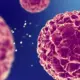 Peneliti MIT Ungkap Kunci Sintesis Verticillin A untuk Mengatasi Kanker Otak
