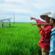 Program Smart Farming PLN Bantu Sejahterakan Petani Trimomukti, Lampung Selatan