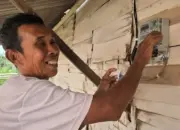 Rumah Soleman di Lampung Selatan Akhirnya Terang Berkat Program Light Up the Dream PLN