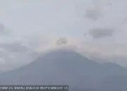 Aktivitas Gunung Semeru Masih Tinggi, Puluhan Gempa Letusan Tercatat dalam Sehari