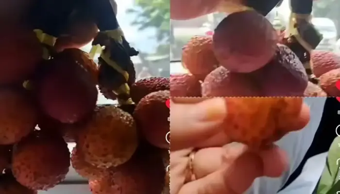 Dikira Leci, Wanita Ini Kaget Beli Rambutan “Gundul” Rp50 Ribu di Lampu Merah Purwakarta