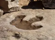 AI DinoTracker Hadir untuk Mengungkap Misteri Jejak Kaki Dinosaurus Purba