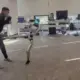 Heboh! Robot Humanoid G1 Salah Tendang Instruktur, Reaksi Kocaknya Bikin Warganet Salfok