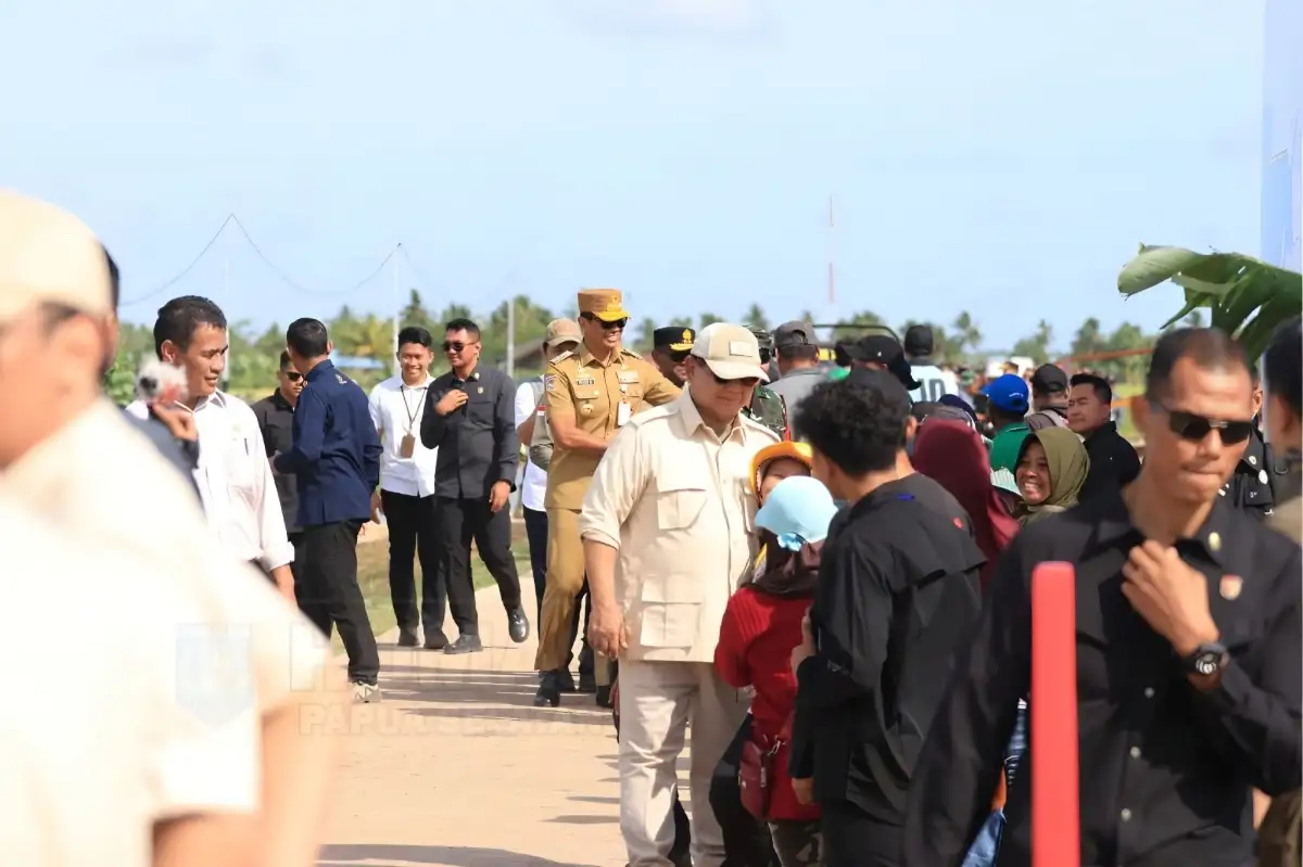 Percepat Proyek Pangan, Papua Pegunungan Siapkan 2.000 Ha Lahan Sawah di Jayawijaya
