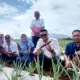 Polinela Tanam Ubi Jalar Unggul Hasil Penelitian Budidaya di Lampung Barat